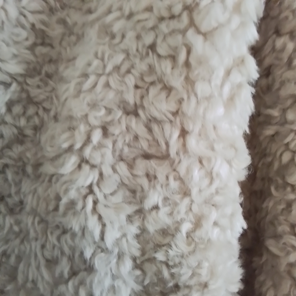 Ann Taylor Cream Teddy Jacket Plush Cozy Outerwear - Picture 3 of 3